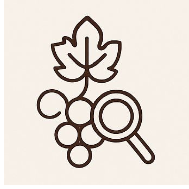 Ontwerp zonder titel (10) Ontwerp zonder titel (10)